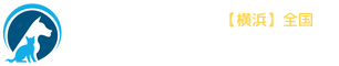 ペットの送迎／引越し【横浜】全国 ふわふわペットタクシー