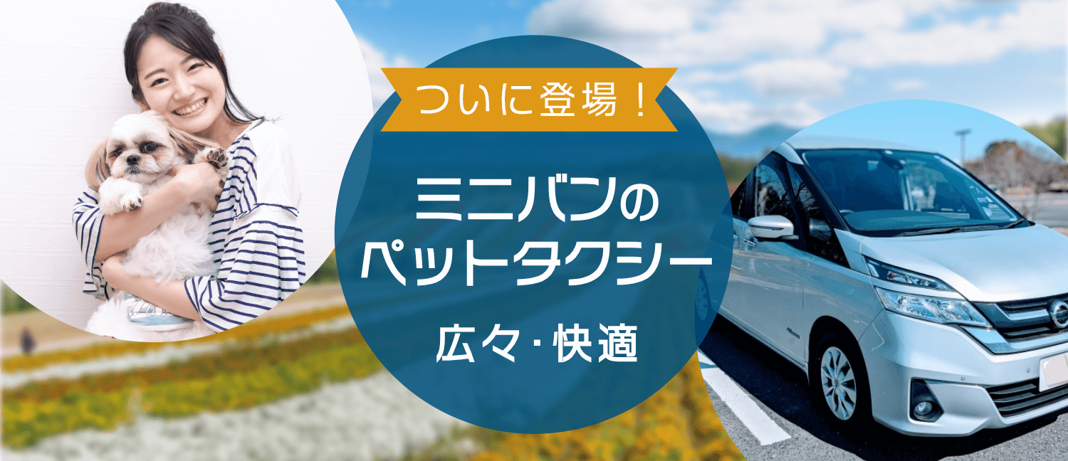 ついに登場！ミニバンのペットタクシー 広々･快適