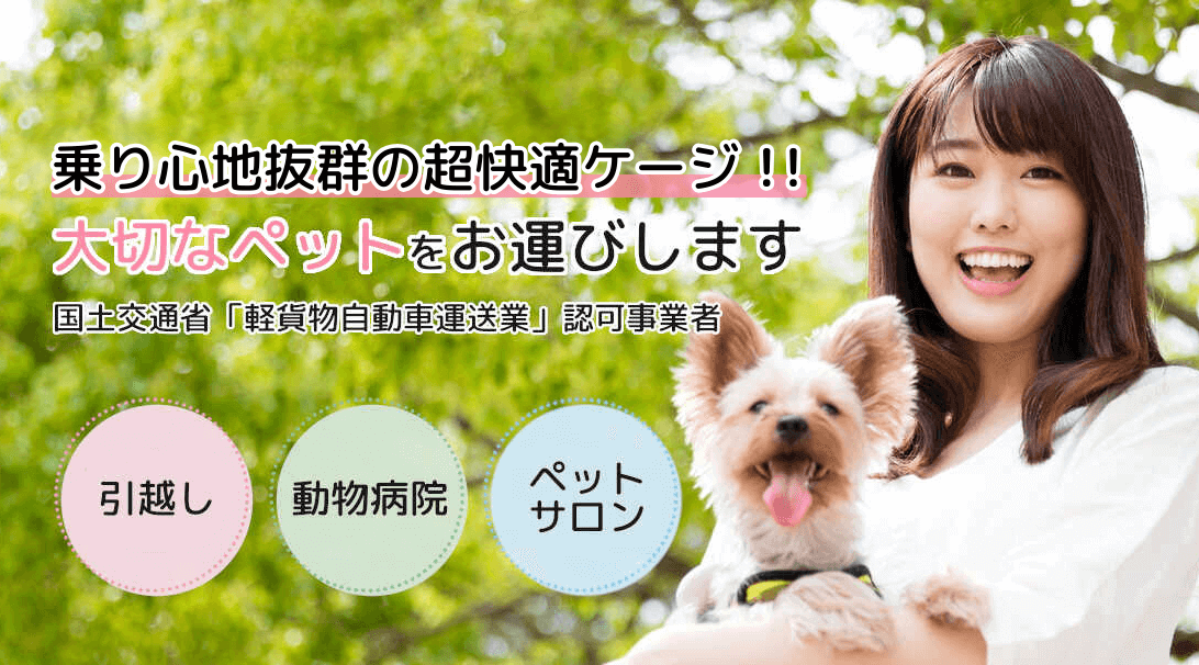 乗り心地抜群の快適ケージ!!大切なペットをお運びします 国土交通省「軽貨物自動車運送業」認可事業者 引越し 動物病院 ペットサロン
